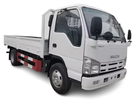 3-ton cargo pickup truck Dubai
